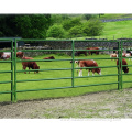 Wholesale powder coated farm horse fence